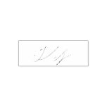 Office Business Sign Checks Your Signature Self-inking Stamp