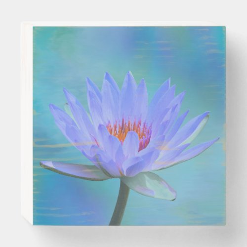 Office Cubicle Pastel Morning Water Lily Wood Box