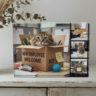 Office Fun Cats Photo, City, Business Cat Photo Block
