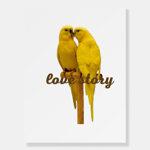 Office & School > Promotional Products & Small Bus Foam Board