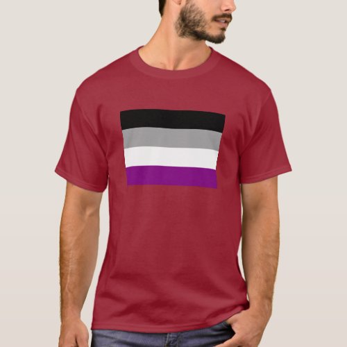 OFFICIAL ASEXUAL PRIDE FLAG T_Shirt