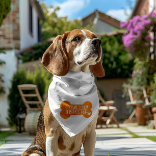 Official Candy Inspector Halloween Gift Pet Bandana Collar