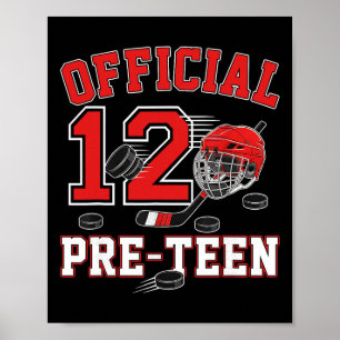 Official Pre-teen 12th Birthday 12 Year Old Boy Ho Poster