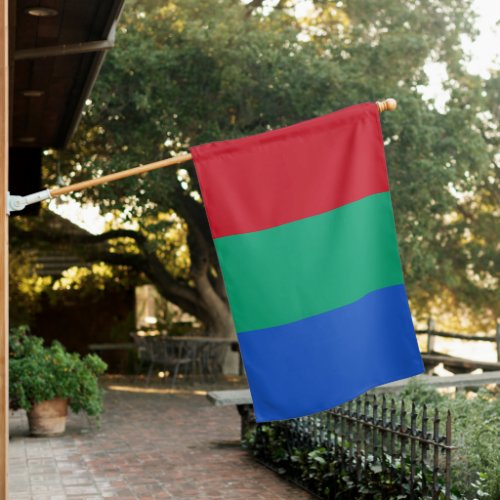 Official Red Green Blue Mars Flag Tricolor