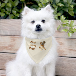 Official Squirrel Chaser Custom Text Pet Bandana Collar