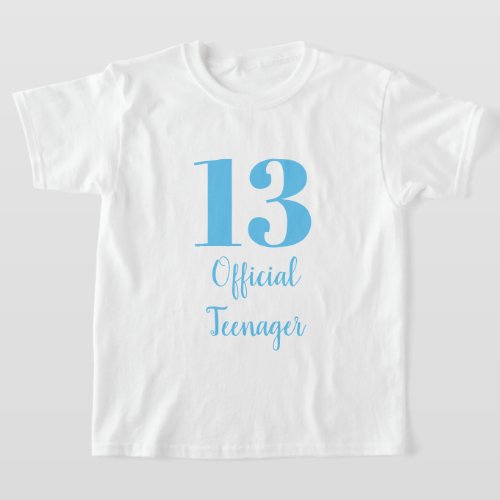 Official Teenager 13th Birthday Sky Blue White T_Shirt
