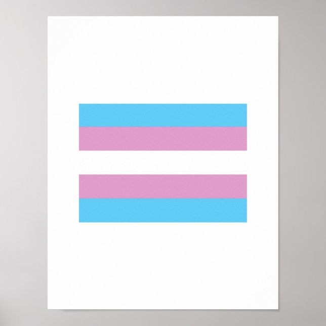 OFFICIAL TRANSGENDER PRIDE FLAG POSTER (Front)