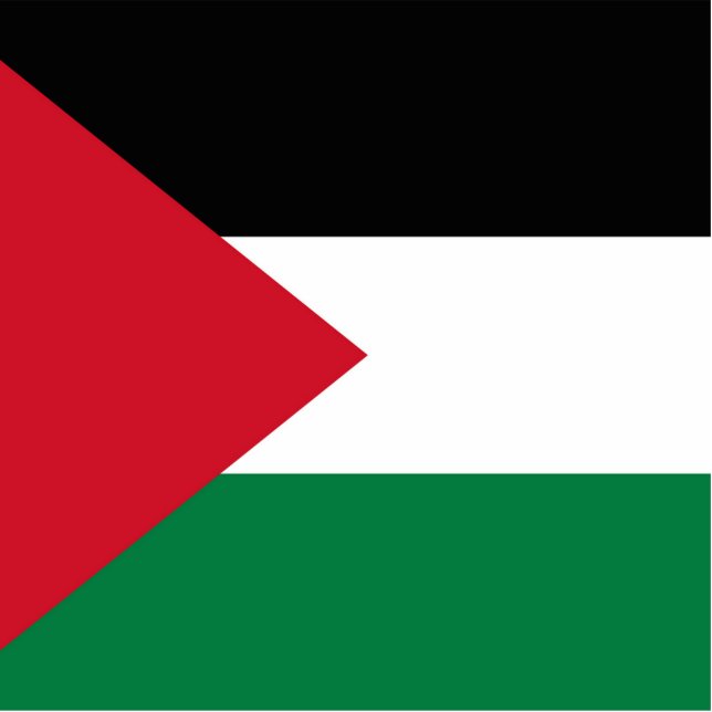 officially the State of Palestine country flag Cutout (Front)