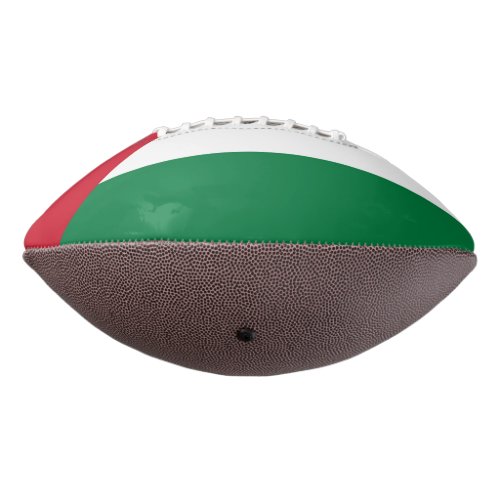 officially the State of Palestine country flag Football