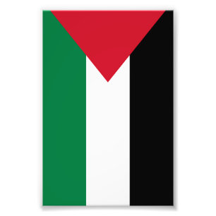 officially the State of Palestine country flag Photo Print