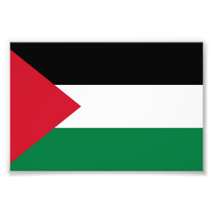 officially the State of Palestine country flag Photo Print