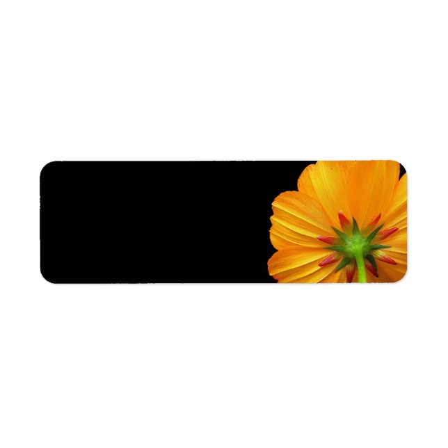 Offset Cosmos Return Address Labels (Front)