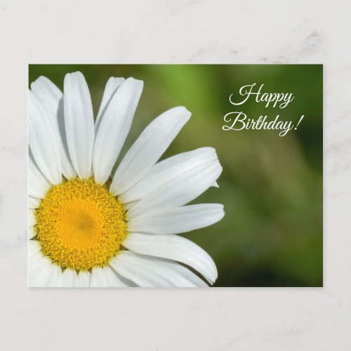 Offset Daisy Happy Birthday Postcard