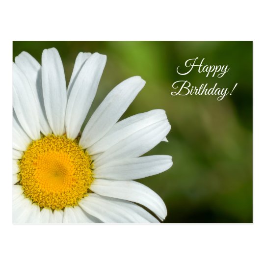 Offset Daisy Happy Birthday Postcard | Zazzle.com