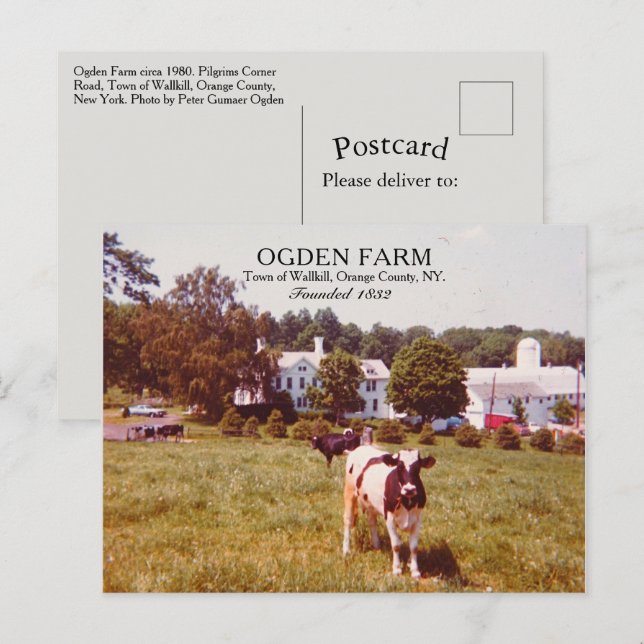 Ogden Farm Town of Wallkill Orange County NY 1980 Postcard (Front/Back)