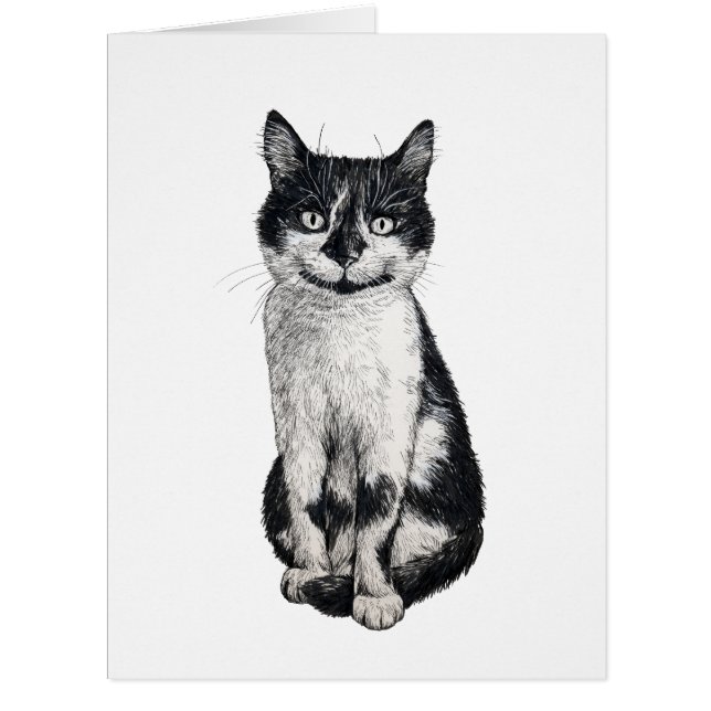 Ogie the cat cards (Front)