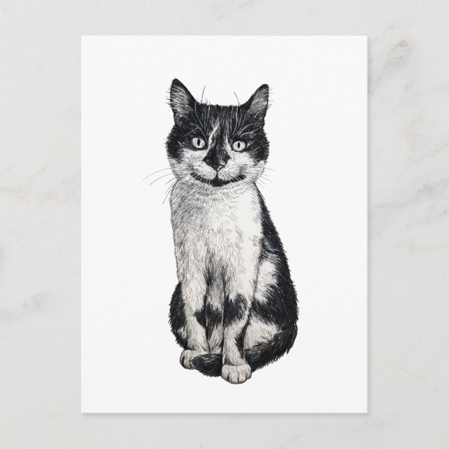 Ogie the cat postcard (Front)