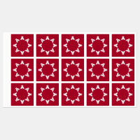 Oglala Lakota Sioux Flag