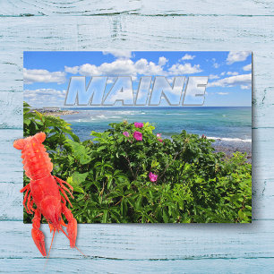Ogunquit, Maine Wild Beach Roses Postcard