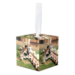 Oh baby cube ornament