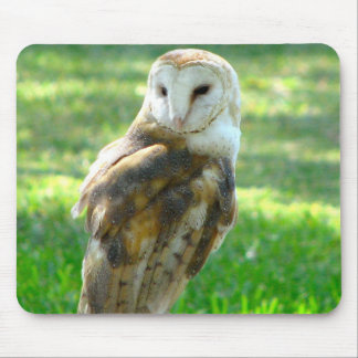 Oh Barn Owl Mouse Pad