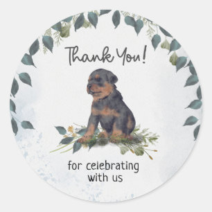 Oh Boy! Rottweiler Puppy Dog Thank you Classic Round Sticker