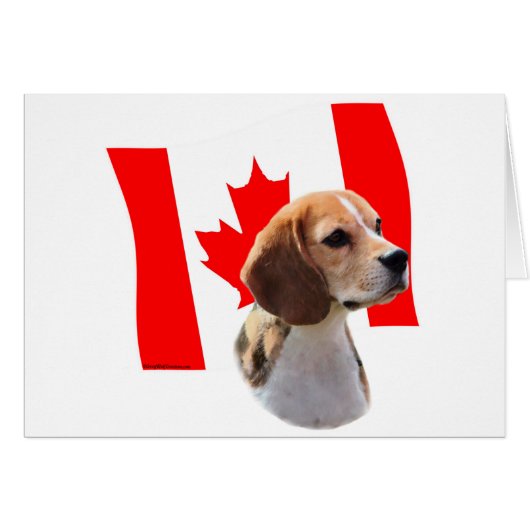 Oh Canada....and Beagles. Cards (Front Horizontal)