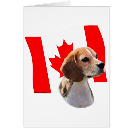 Oh Canada....and Beagles. Cards (Front)