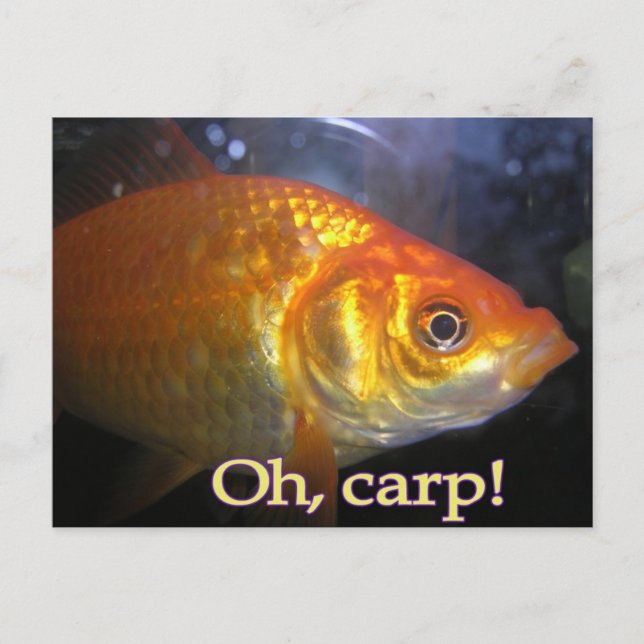 Oh, carp! postcard (Front)