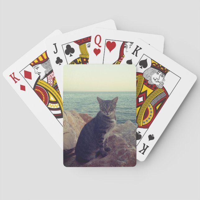 Oh cat and sunset poker cards (Back)