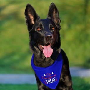 Oh Christmas Treat Pet Bandana Collar
