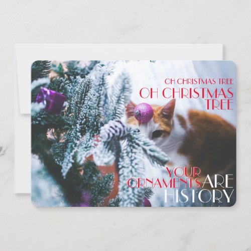 Oh Christmas Tree Your Ornaments Are History Cat Holiday Card