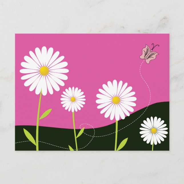 Oh Daisies! Postcard (Front)