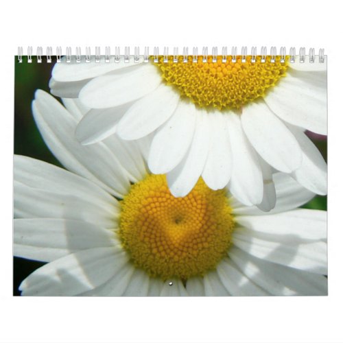 Oh Daisy Wall Calendar