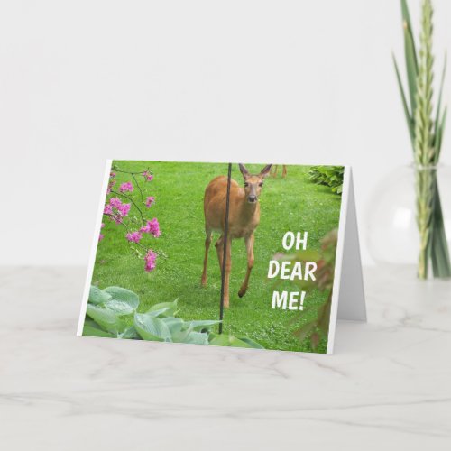 OH DEAR YOU ARE 60 BIRTHDAY WISHES CARD