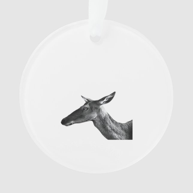 Oh Deer Modern Aesthetic Vibe Acrylic Ornament (Front)