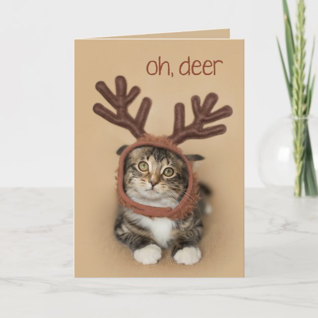 Oh Deer Reindeer Kitten Holiday Card (Front)
