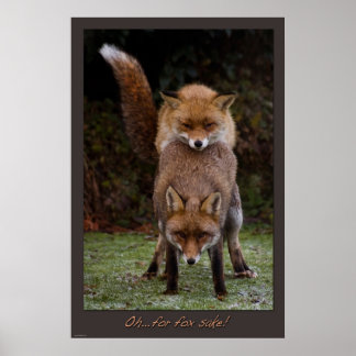 Oh..For Fox Sake Poster