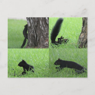 Oh geez post card