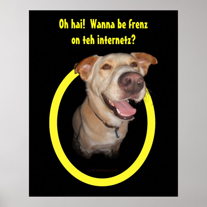 Oh hai  Wanna be frenz on teh internetz? Poster