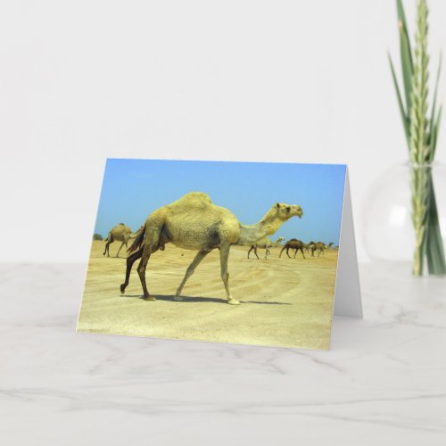 Oh happy day _ camels in the desert card