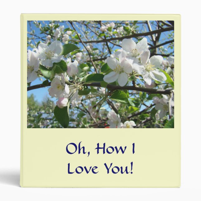 Oh, How I Love You! Binder Gift Book Valentines (Front)