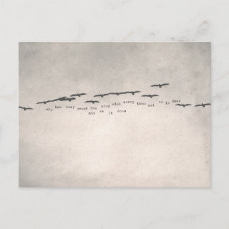 "oh, how they trust " postcard