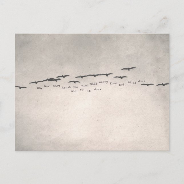 "oh, how they trust " postcard (Front)