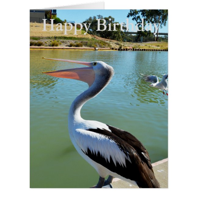 Oh Im A Happy Pelican Tra Lah, Big Birthday Card (Front)