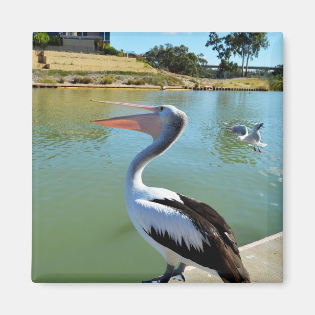 Oh Im A Happy Pelican Tra Lah, Fridge Magnet (Front)