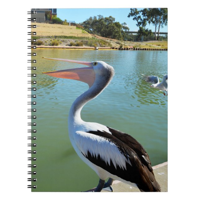 Oh Im A Happy Pelican Tra Lah, Notebook (Front)