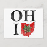 OH IO Typographic Ohio Vintage Red Buckeye Nut Postcard