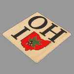 OH IO Typographic Ohio Vintage Red Buckeye Nut Wooden Coaster