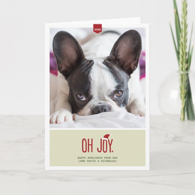 Oh Joy | Folded Holiday Photo (Front)